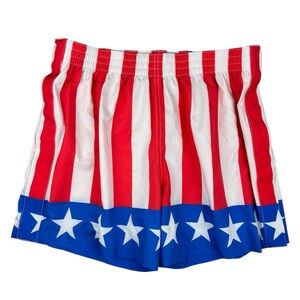 Chubbies Shorts Mens Large Tear Away Swim American Flag Stars And Stripes 5.5"